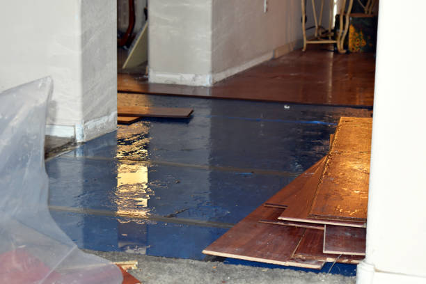 Professional Flood Damage Repair technician working in Pisgah Forest, NC